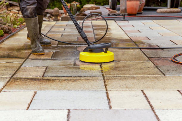 Best Roof Cleaning and Mildew Removal in Superior, WI